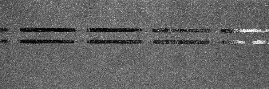 Коньково-карнизная черепица Docke, Premium, Черника купить в Сочи